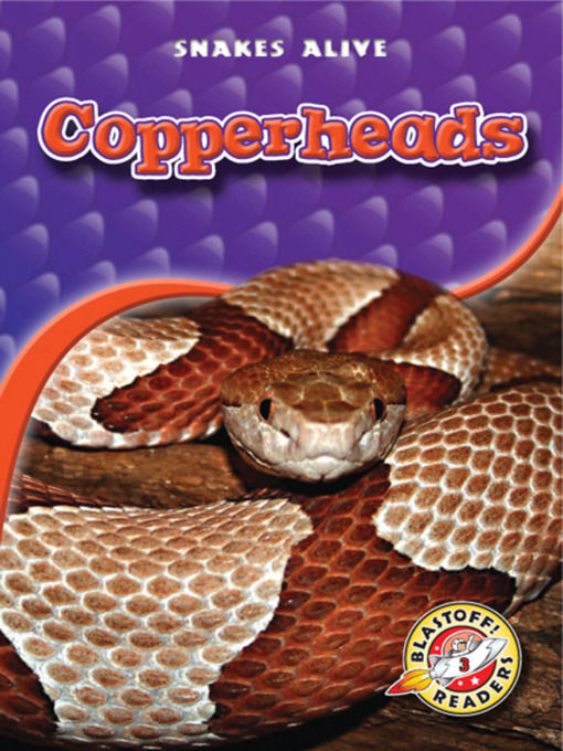 David Christian创作的Copperheads作品的详细信息 - 可供借阅